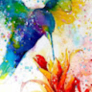 Meet your Posher, Alexia